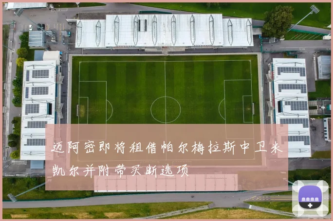 迈阿密即将租借帕尔梅拉斯中卫米凯尔并附带买断选项